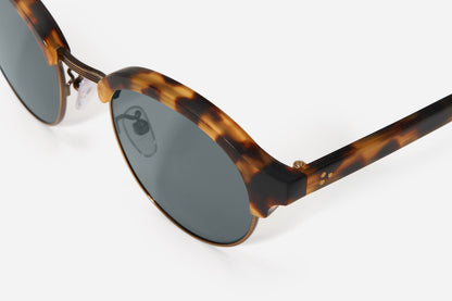 Brow Line - SP-03 Tortoise/G15