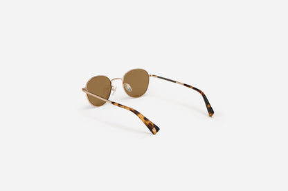 Steel Panto Gold - SP-04 Gold/Tobacco