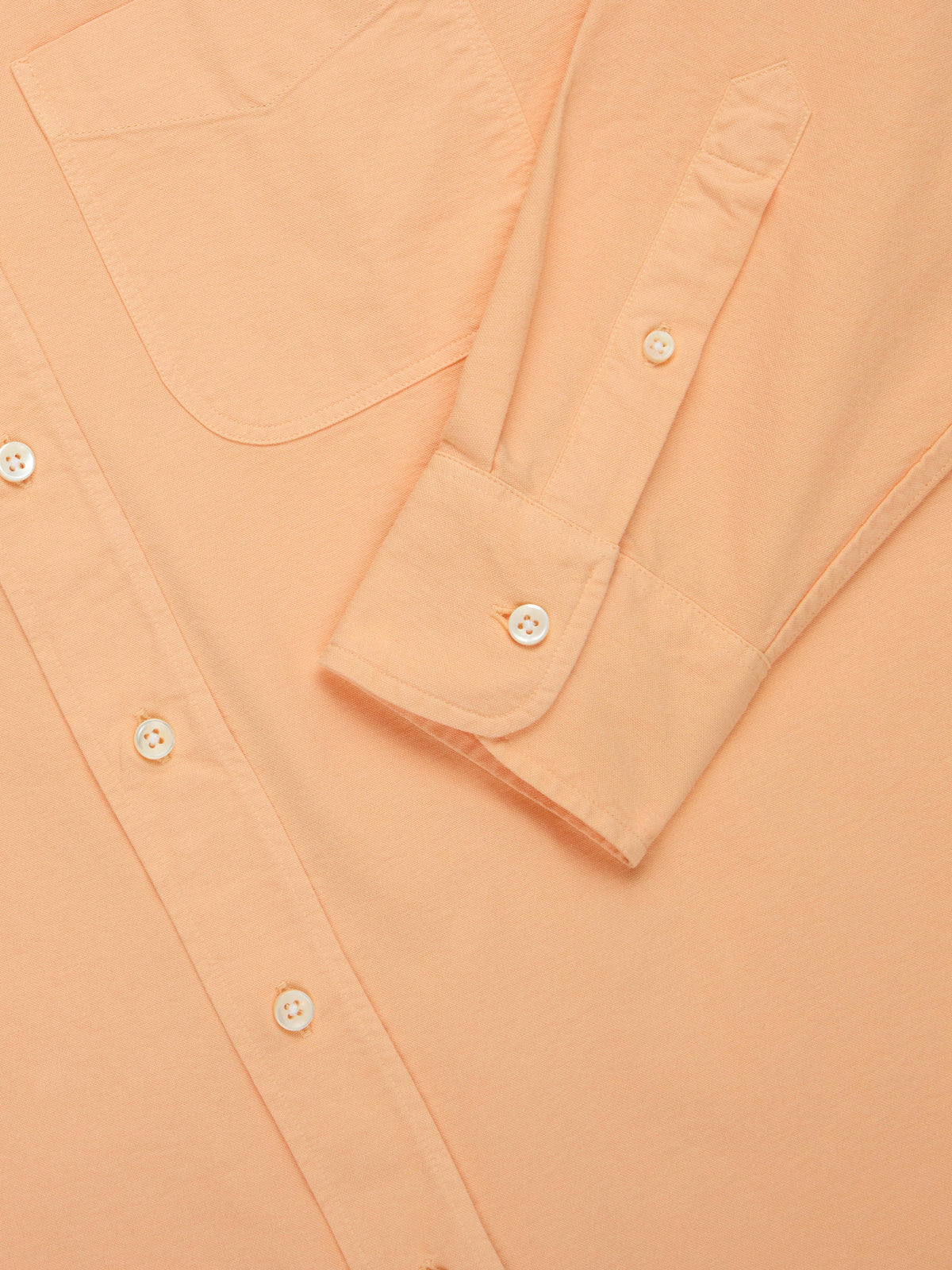 Big Oxford Creamsicle